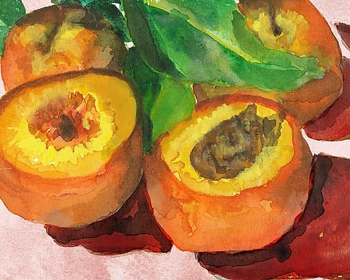 Nectarines Food Print